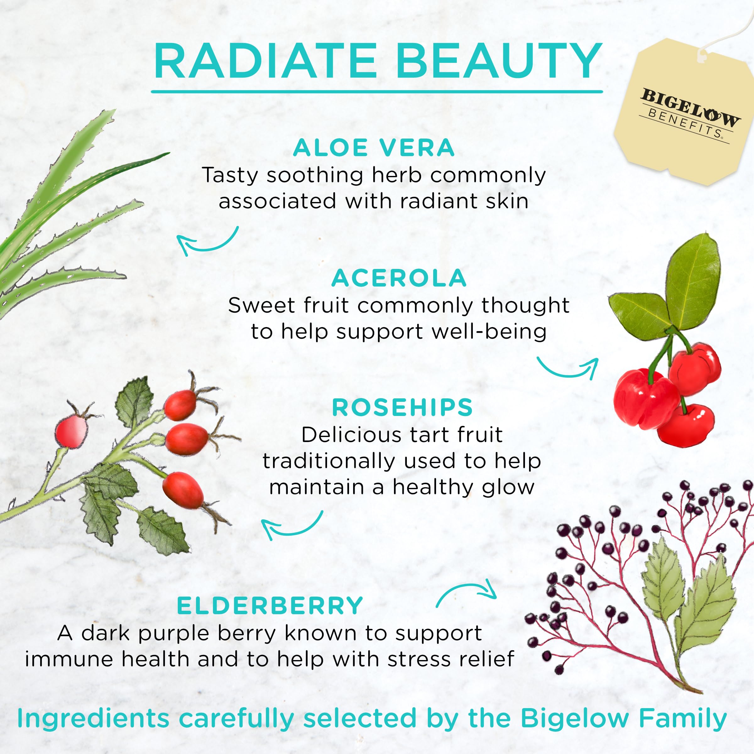 Bigelow Radiate Beauty Blueberry Aloe flavor notes in a bright infusion