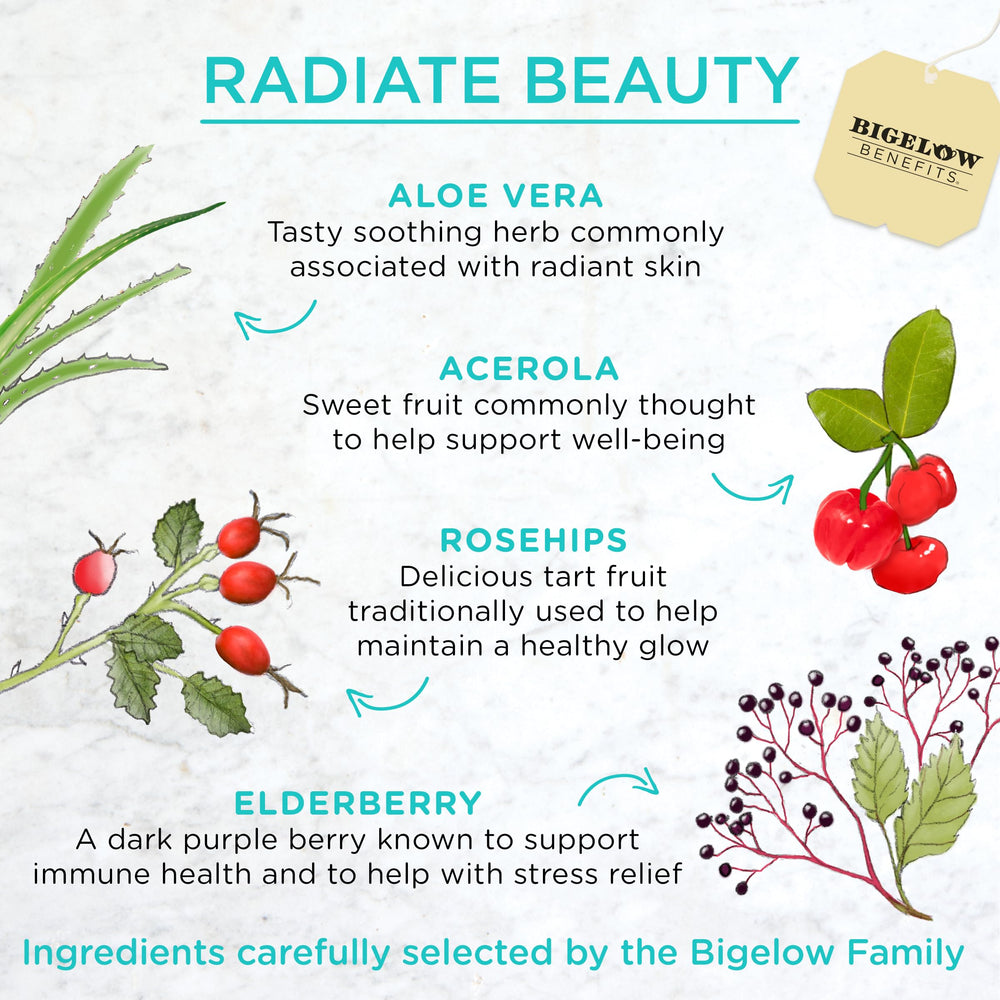 Bigelow Radiate Beauty Blueberry Aloe flavor notes in a bright infusion
