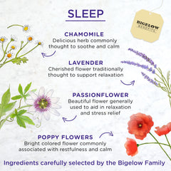 Six-pack box set of Bigelow Benefits Sleep tea for convenient nightly ritual.
