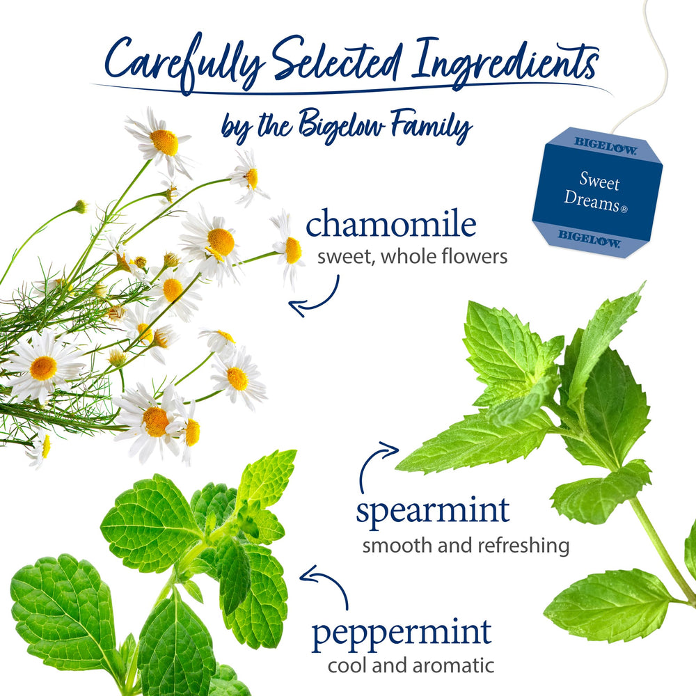 Chamomile flowers and mint leaves in Bigelow blend aroma