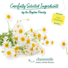 Bigelow Cozy Chamomile foil-wrapped tea bags preserve peak flavor.