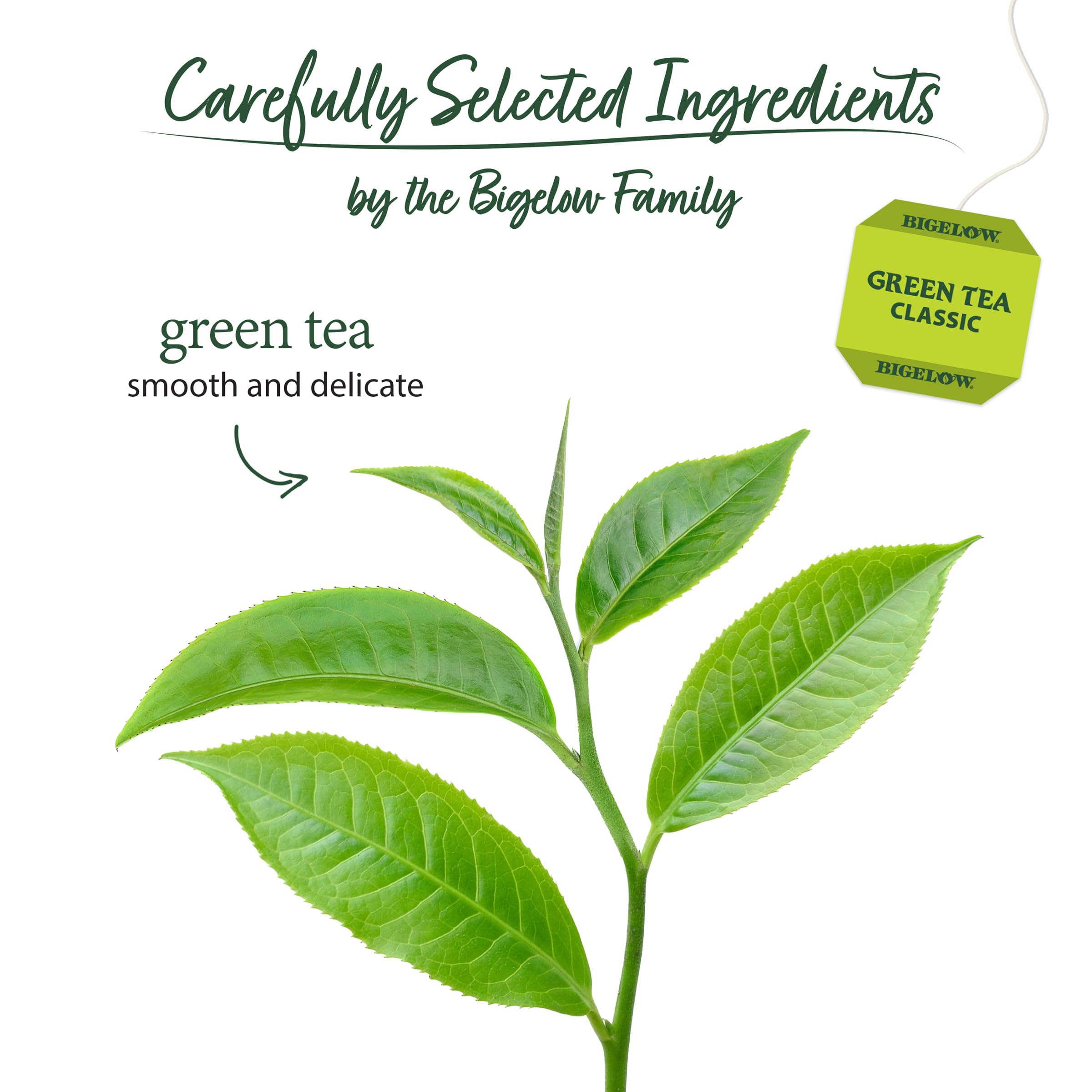 Bigelow Green Tea Bags in foil pouches preserve flavor and freshness.