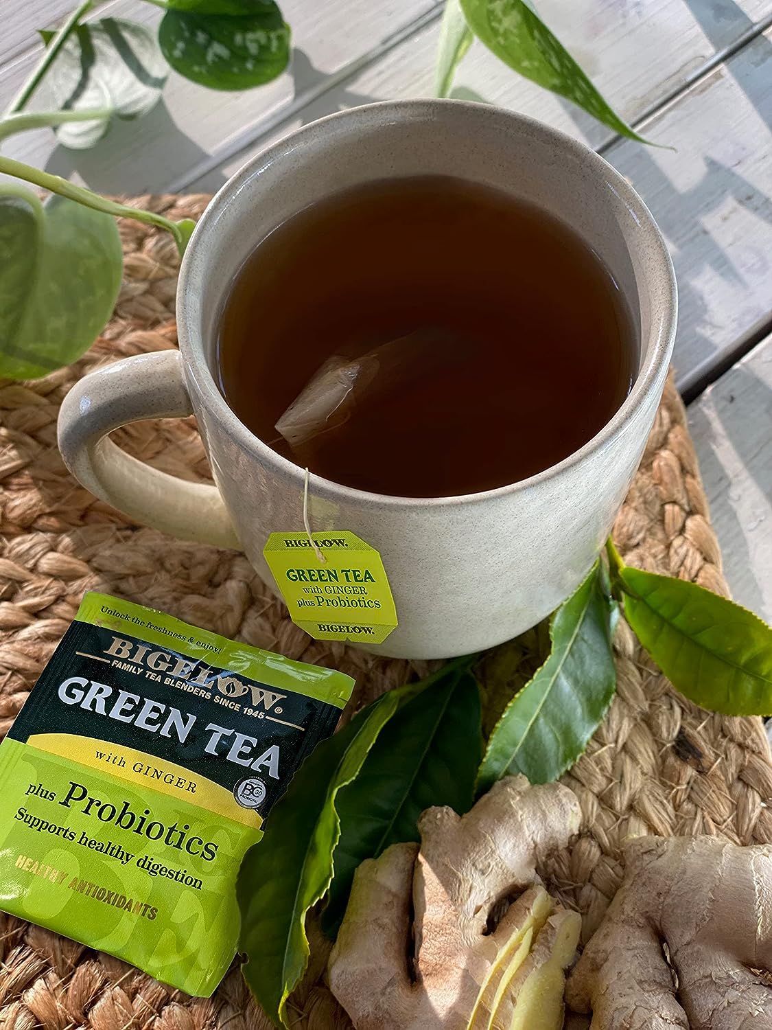 Bigelow Green Tea with Ginger Probiotics shines hot or iced in a mug.