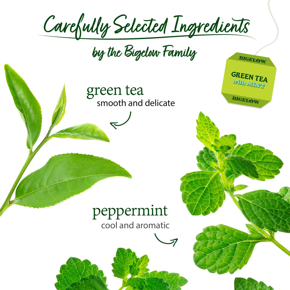 Steaming cup of Bigelow Green Tea with Mint delivers a warm, soothing sip.