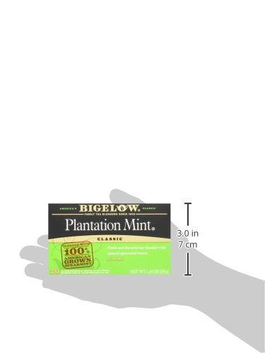 Fresh mint leaves beside Bigelow Perfectly Mint blend for a refreshing scent.