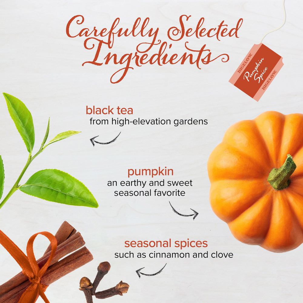 Brewing Bigelow Pumpkin Spice Black Tea releases warm spice and inviting aroma.