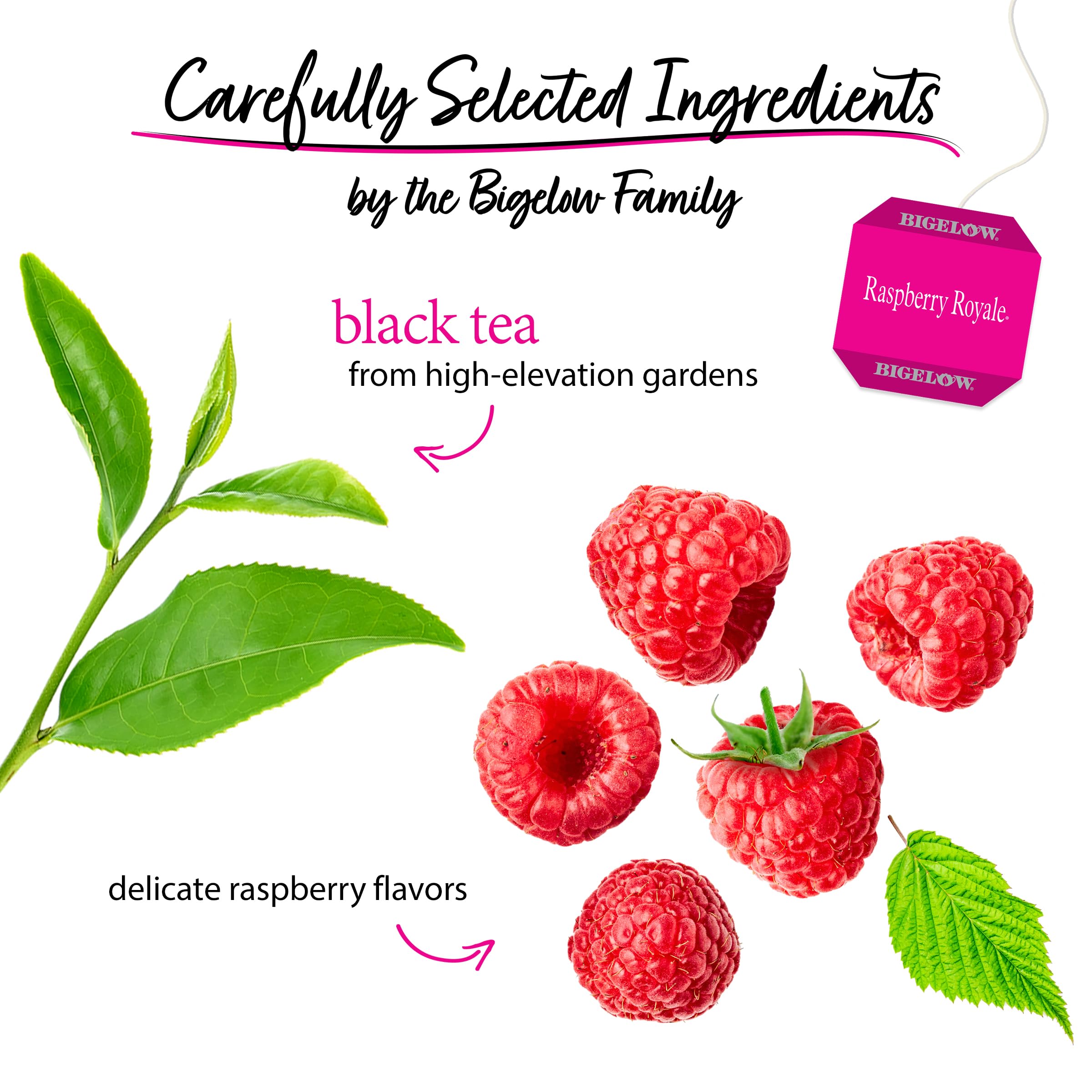 Bigelow Raspberry Royale collection image, variety of flavors for any time