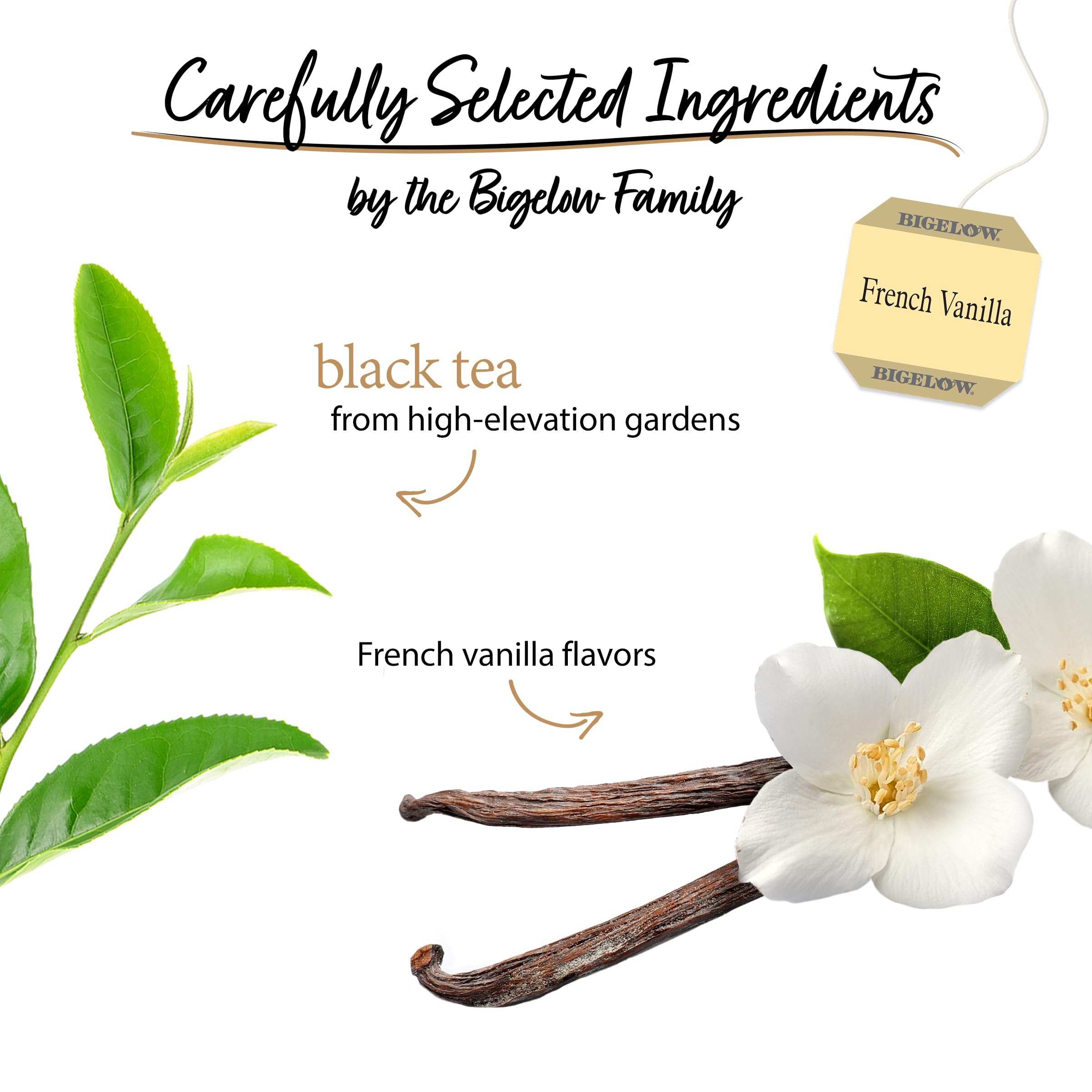 Steaming cup of Bigelow French Vanilla tea reveals smooth vanilla aroma.