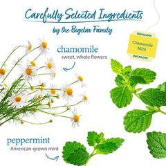 Bigelow Chamomile Mint cup-steeping scene shows relaxing herbal infusion