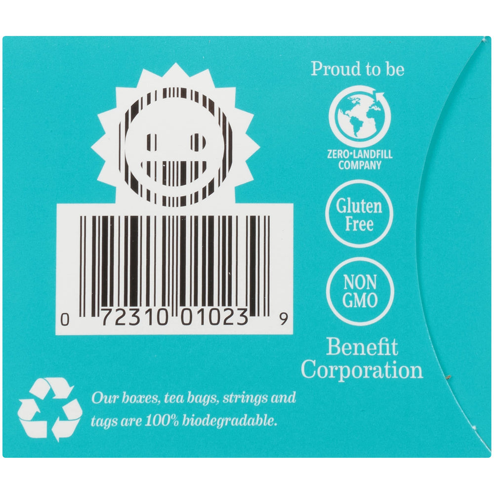 Bigelow Cinnamon & Black Berry box showing compact dimensions
