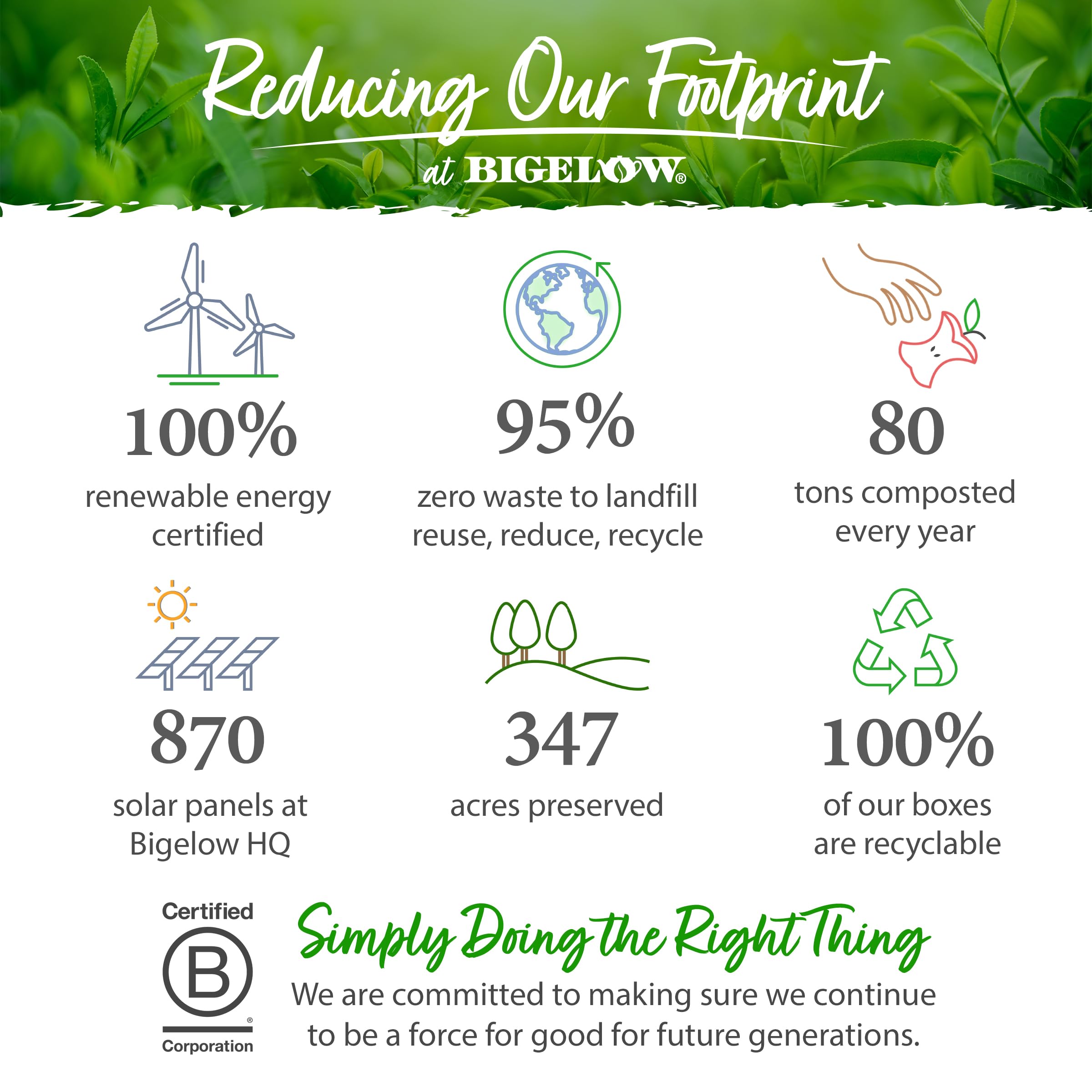 Six-box set of 120 Bigelow tea bags for versatile hot or iced tea.