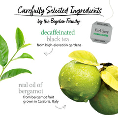 Steaming cup of Bigelow decaf Earl Grey highlighting bergamot aroma.