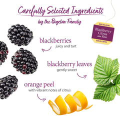 Bigelow display of Blackberry Citrus Plus Zinc among assorted Bigelow varieties