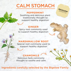 Bigelow Ginger Peach blend with fennel and licorice notes for a comforting aroma
