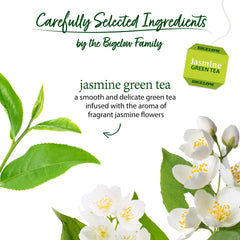 Aromatic jasmine scent enhances Bigelow Jasmine Green Tea in a cup
