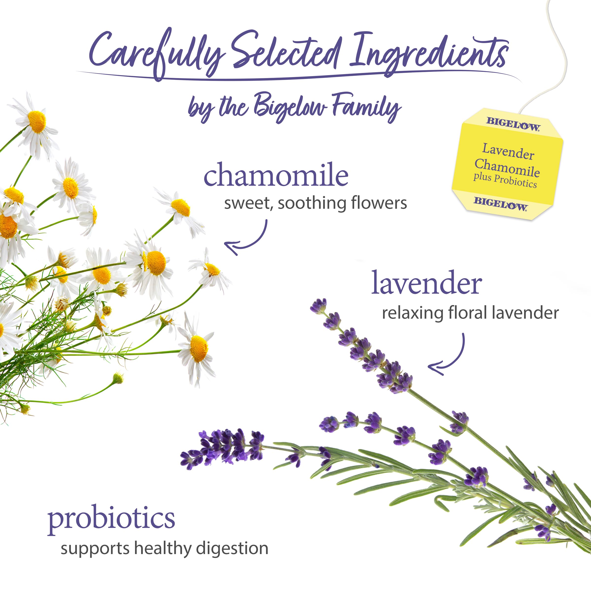 Hot brewed cup of Bigelow Lavender Chamomile Plus Probiotics tea