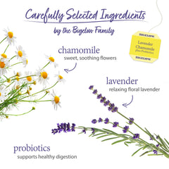 Hot brewed cup of Bigelow Lavender Chamomile Plus Probiotics tea