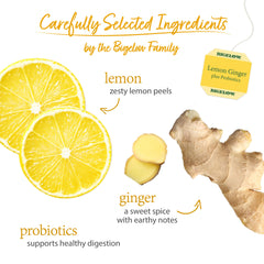 Brewing Bigelow Lemon Ginger Probiotics tea in a warm cup with caffeine-free comfort