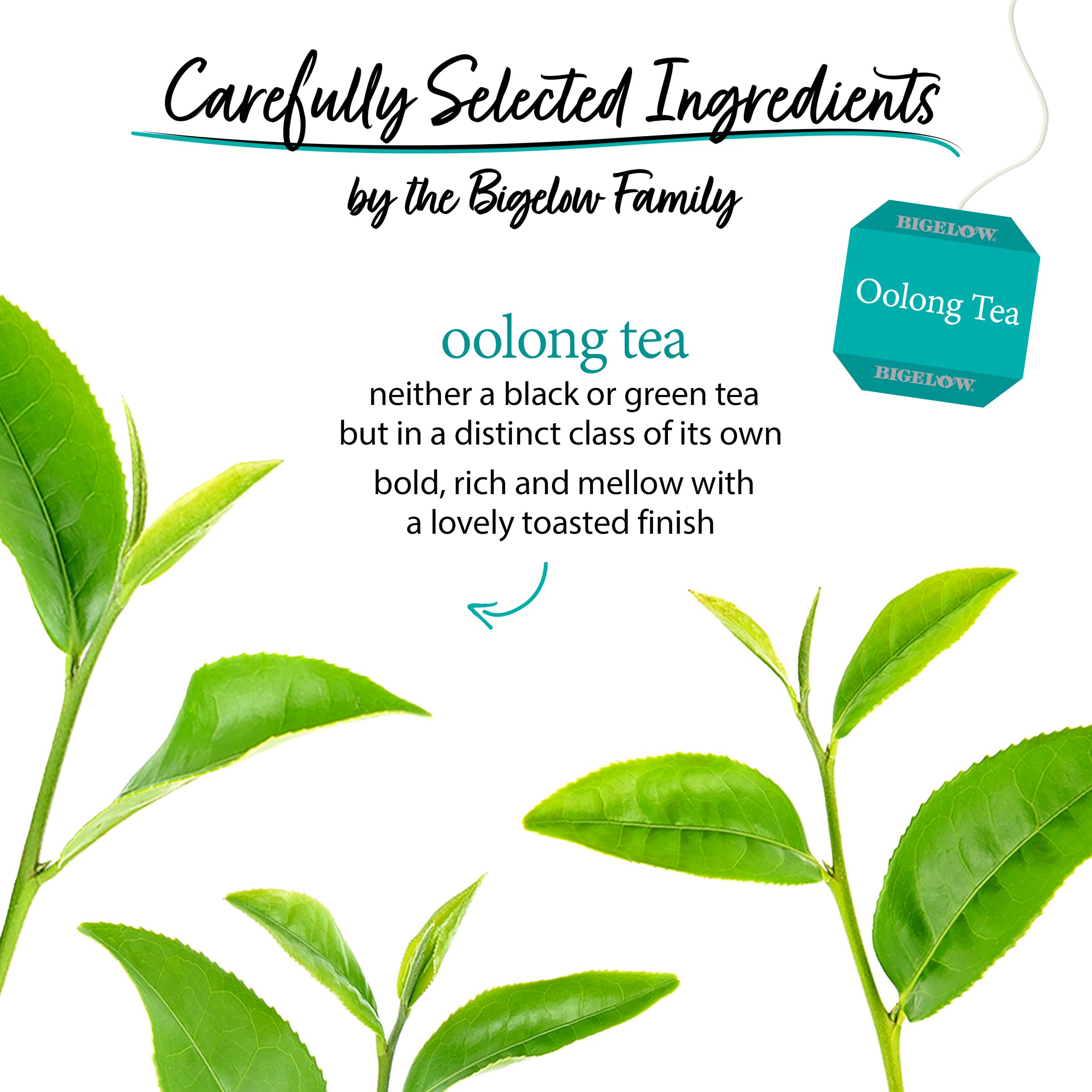 Bigelow Tea Oolong Tea foil-pack close-up highlighting premium packaging.