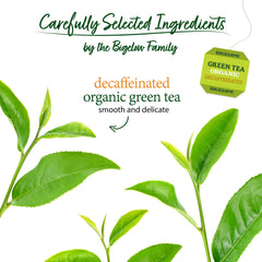 Steaming cup of Bigelow Organic Decaffeinated Green Tea