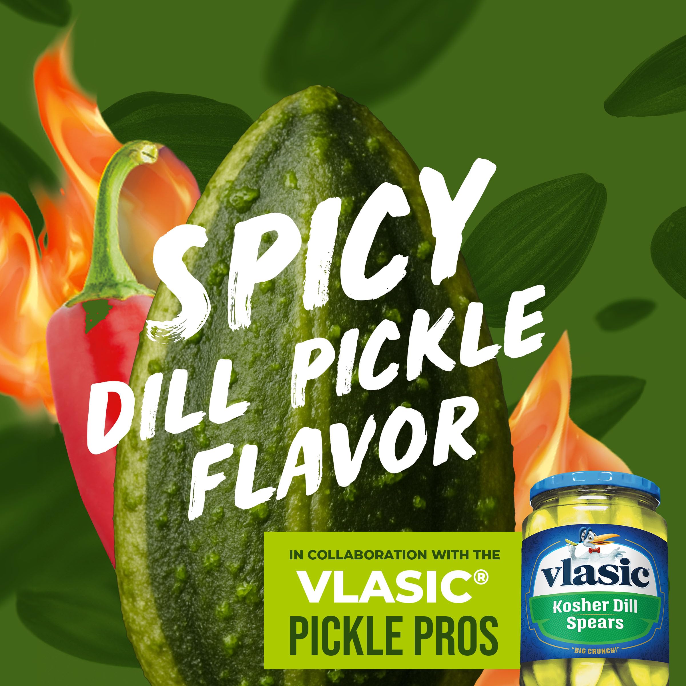 Seasoning detail on BIGS seeds highlights dill pickle heat and aroma