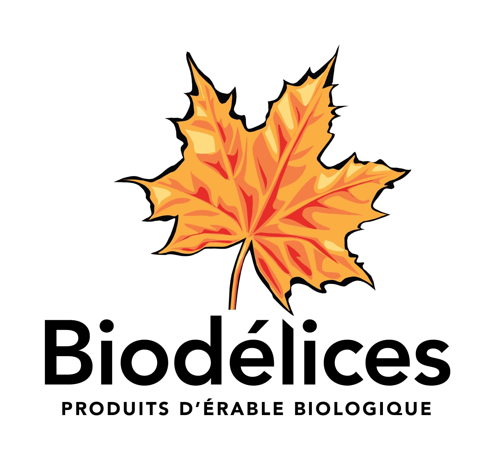 BIODELICES premium maple syrup pour-ready bottle for easy kitchen use