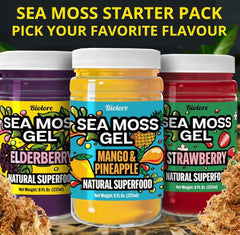 Biolore sea moss gel elderberry jar supports daily nutrition