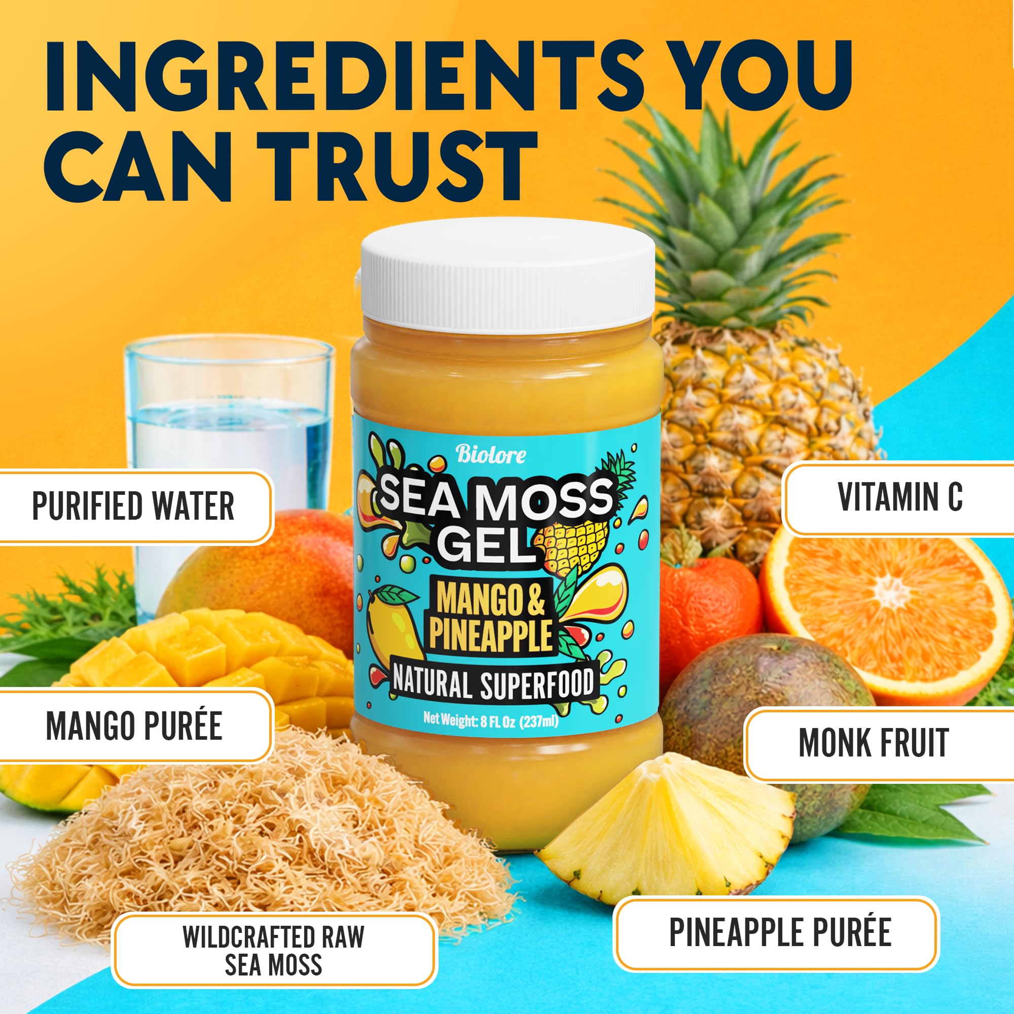 Biolore Sea Moss Gel Mango-Pineapple stored in fridge for quick meals