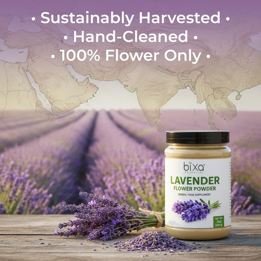 Spoon dispensing Lavender Powder from bixa BOTANICAL for add-to-drinks