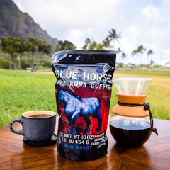 Blue Horse Kona coffee beans close-up highlighting medium roast and aroma.