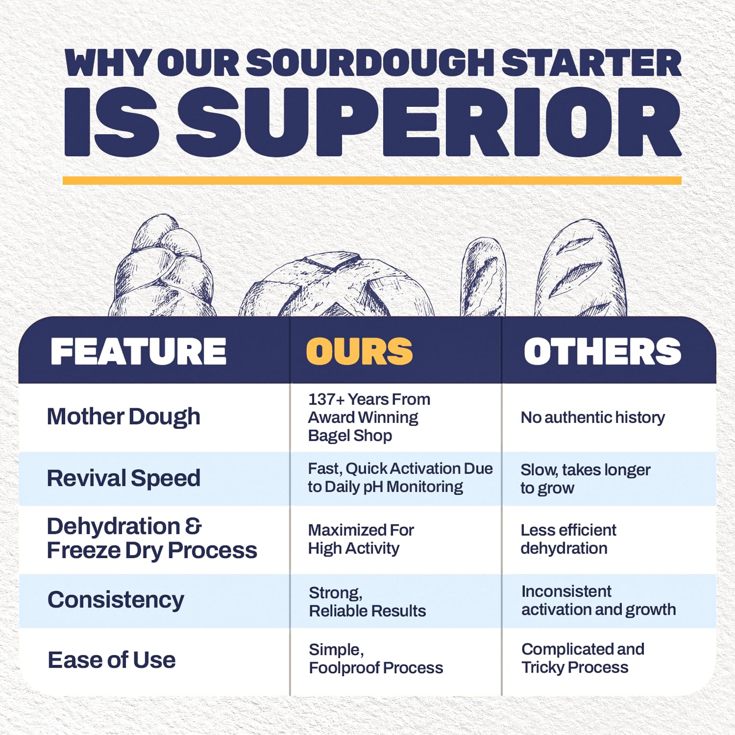 The Blue House Bagel Co feeding guide showing simple daily refreshes.