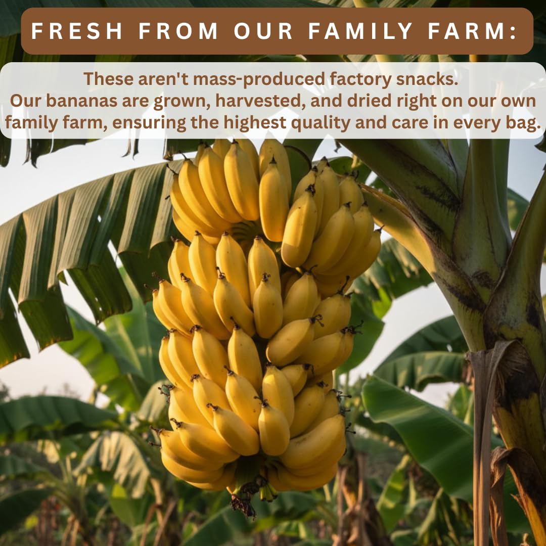 Blue Orchid Organic sun dried bananas no-added-sugar option in a clear pouch.