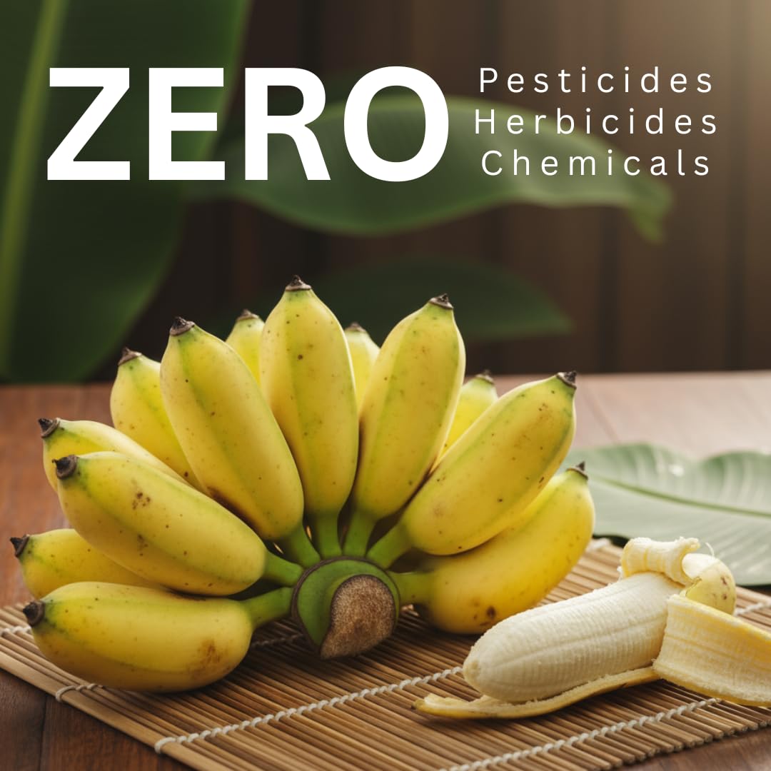 Blue Orchid Organic sun dried bananas organic label confirms unsulfured production.