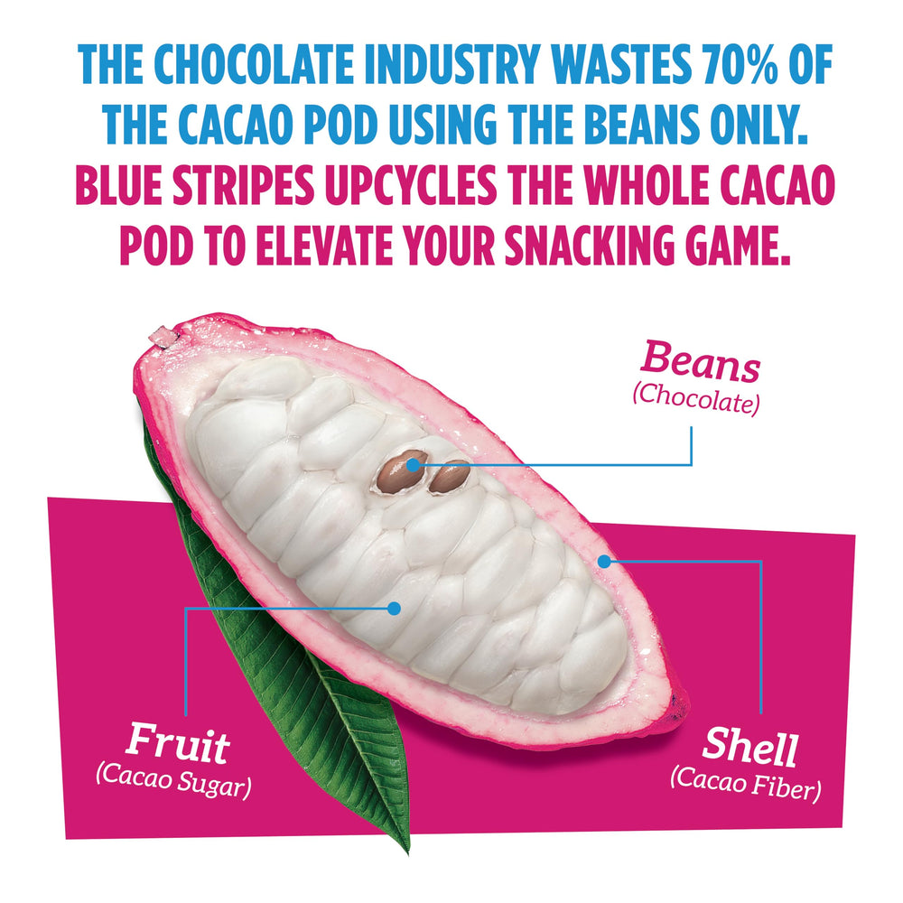 Blue Stripes vegan non-GMO bar in hand, ideal travel snack.