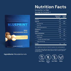Blueprint Bryan Johnson raw macadamia nuts texture closeup highlights buttery crunch