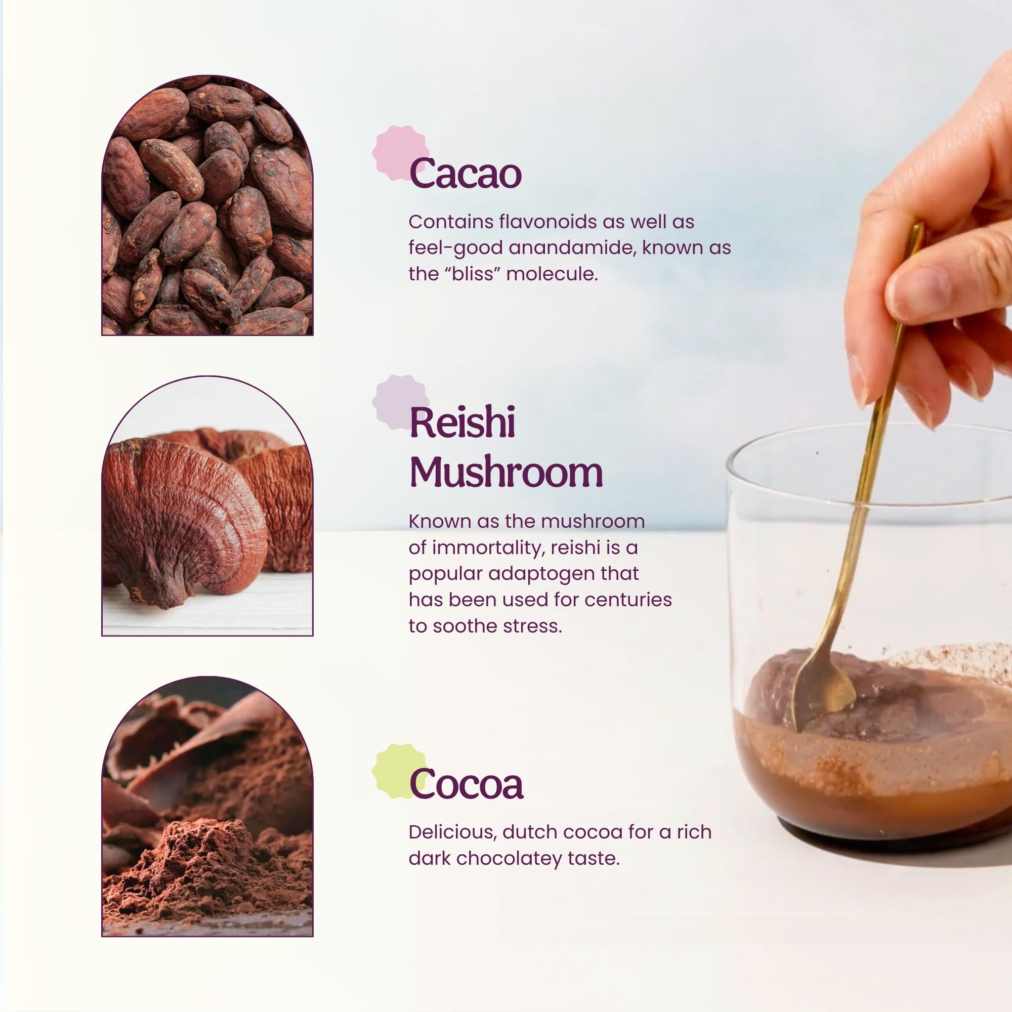 Blume Organic Cocoa scoop highlighting premium cacao flavor.