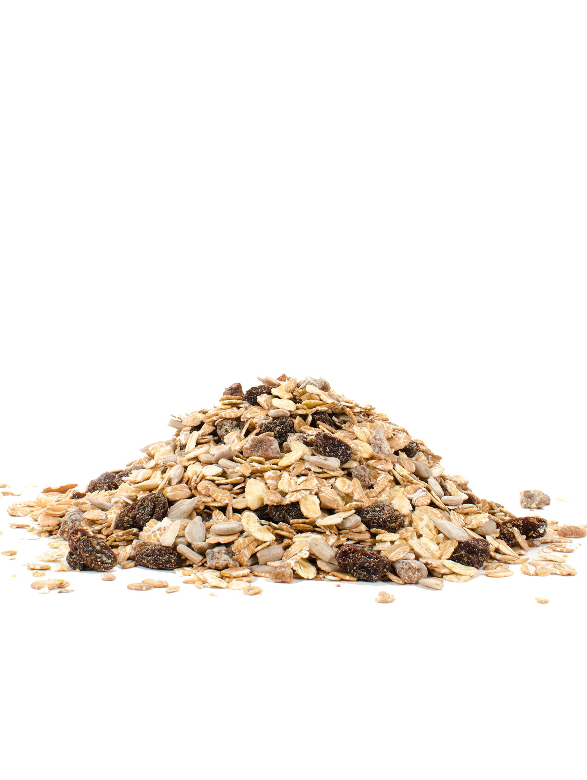 Close-up of rolled oats and whole grains in Old Country Style Muesli.