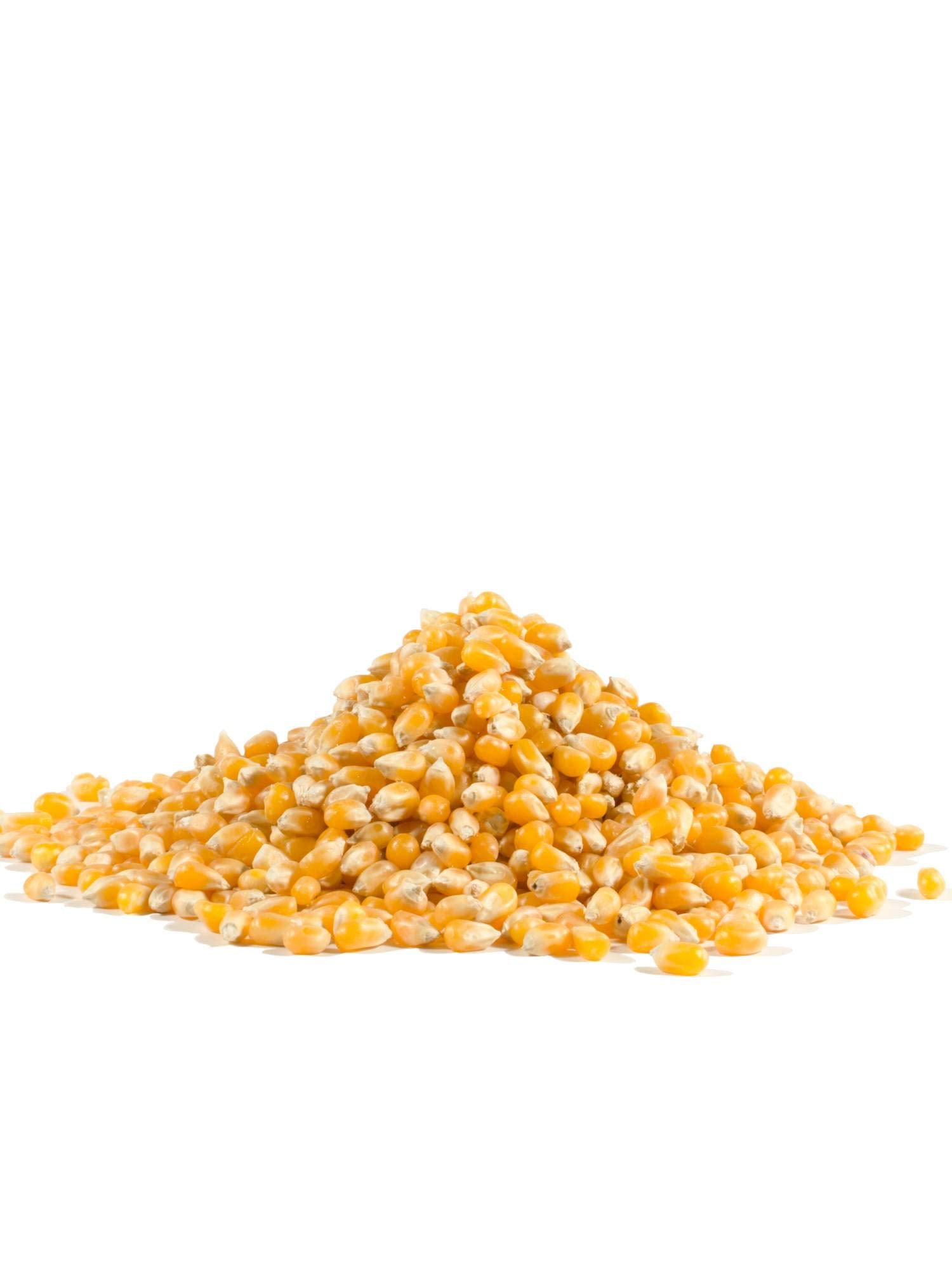 Bob's Red Mill Yellow Popcorn with butter topping for a savory finish.