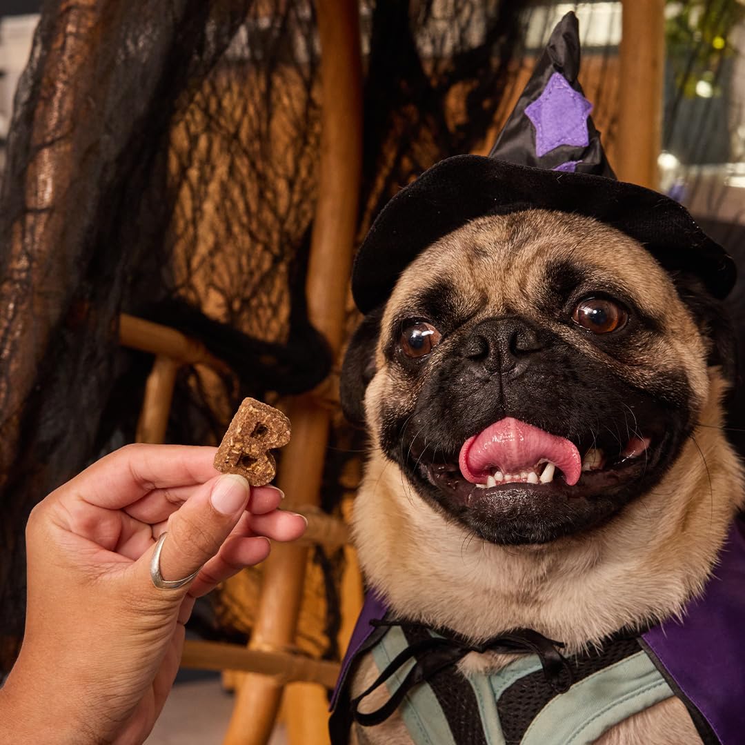 Bocce's Bakery Puppy-to-senior chew adds daily chew-friendly variety.