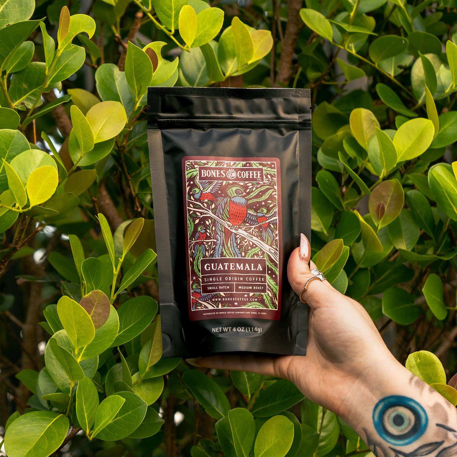 Bones Coffee Guatemala beans offer balanced acidity for daily brews.