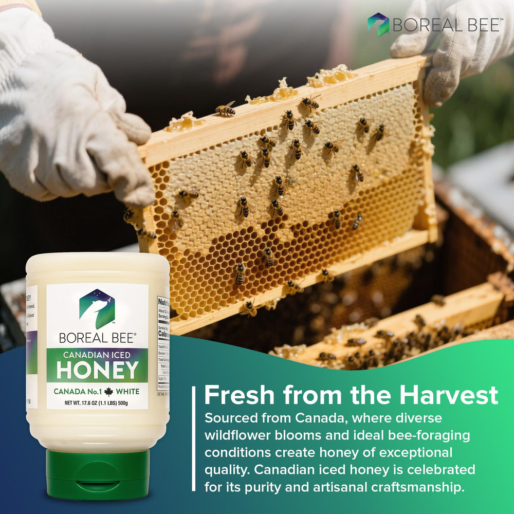 BOREAL BEE honey in tea – natural sweetness with floral notes.