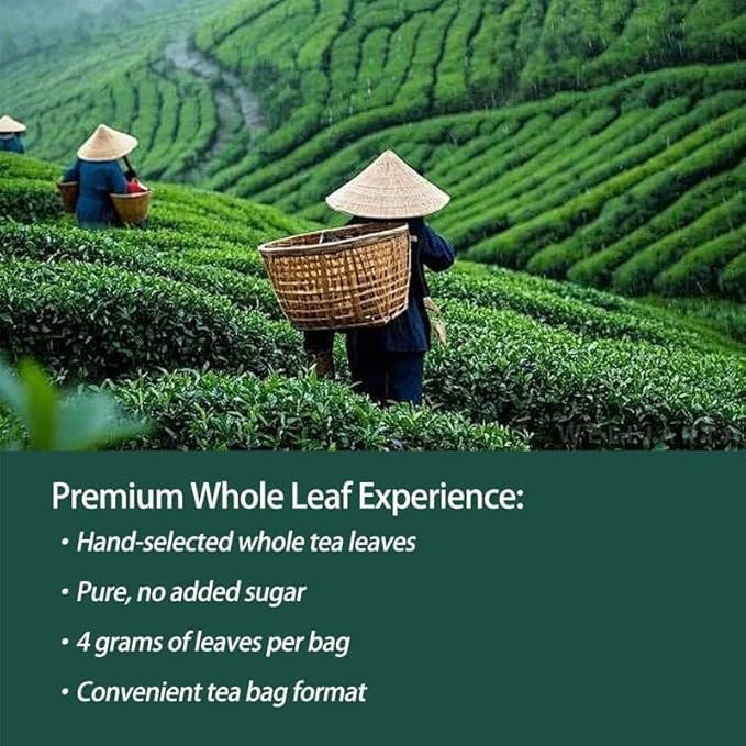 Bosteda PipiTea collection box highlights eco-friendly packaging for 20 bags