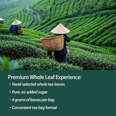Bosteda PipiTea collection box highlights eco-friendly packaging for 20 bags
