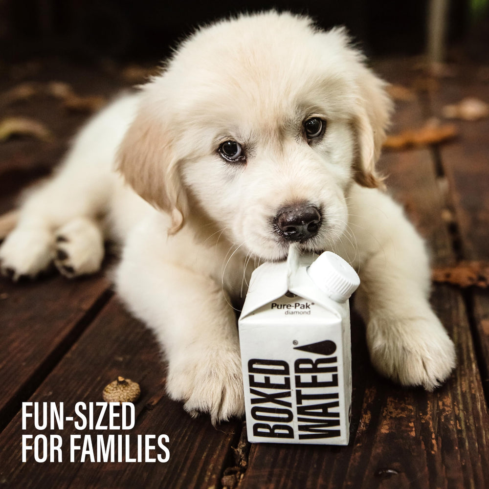 Boxed Water carton refilling focus with recyclable packaging.