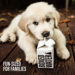 Boxed Water carton refilling focus with recyclable packaging.