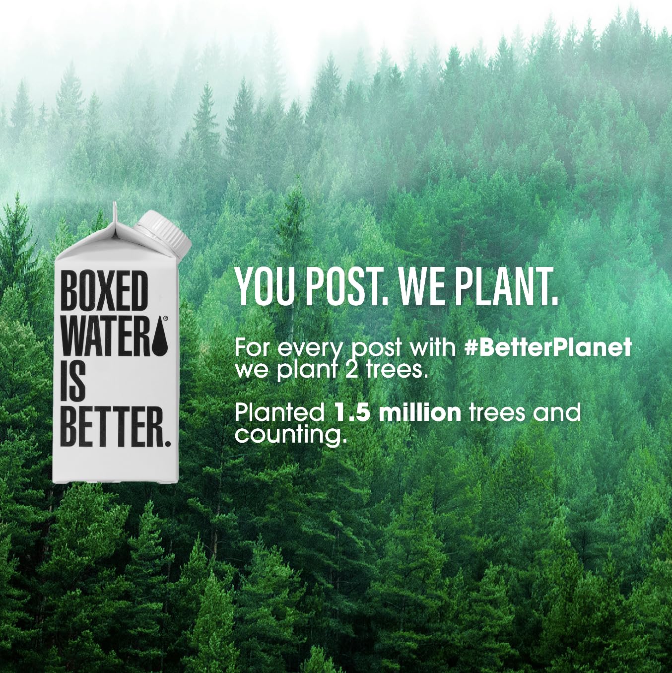 Boxed Water Is Better recyclable cartons, simple home recycling and reuse.