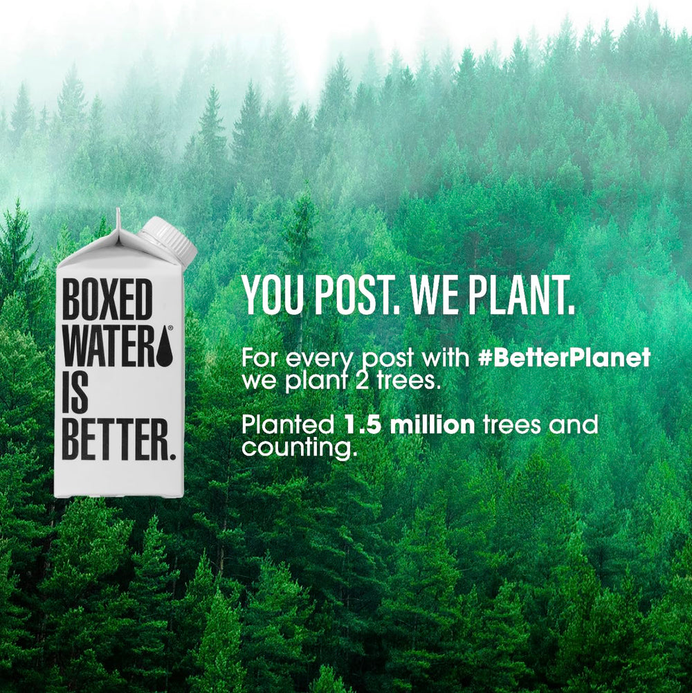 Boxed Water Is Better recyclable cartons, simple home recycling and reuse.