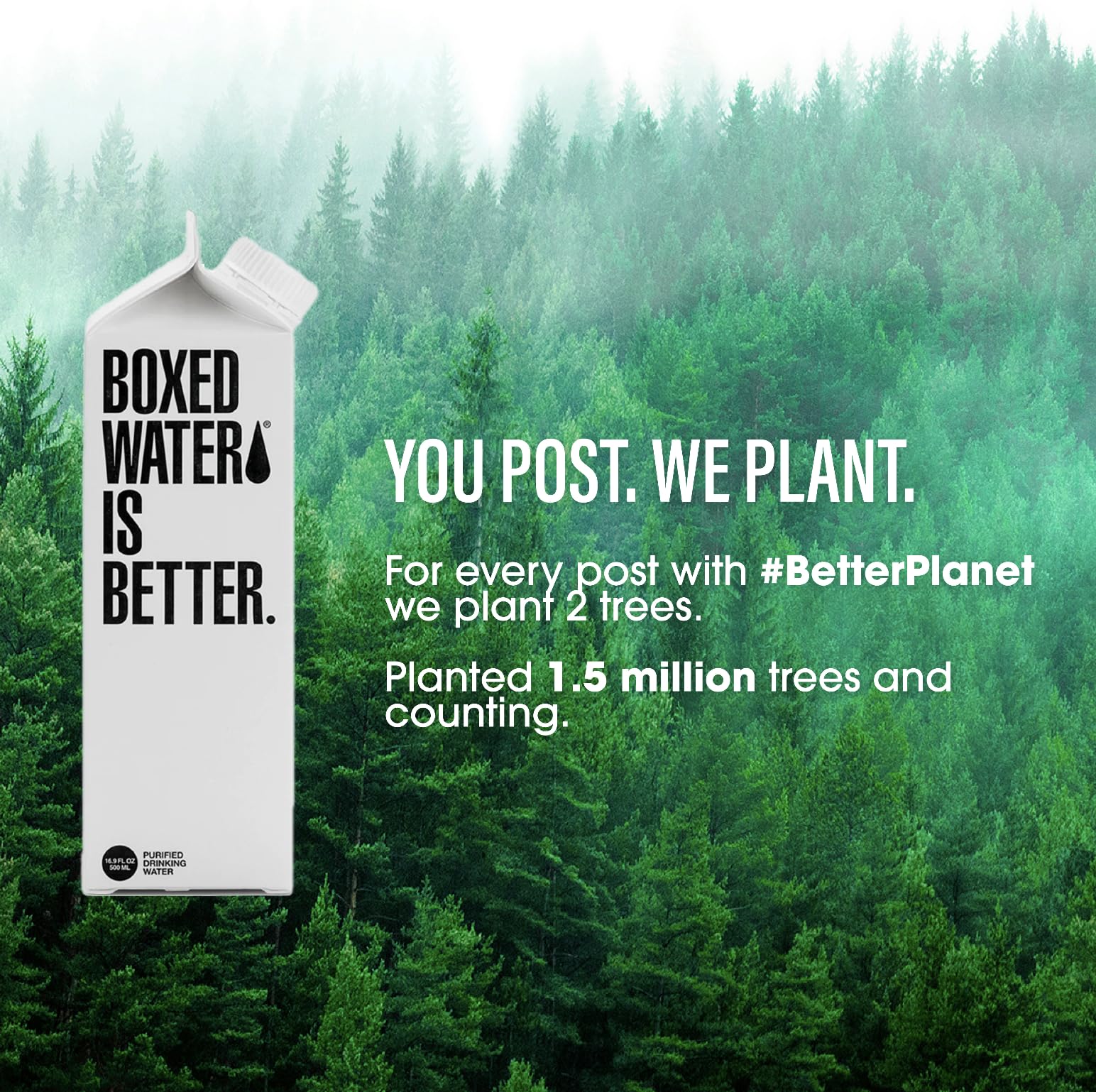 Boxed Water tree-planting initiative supports forest restoration.