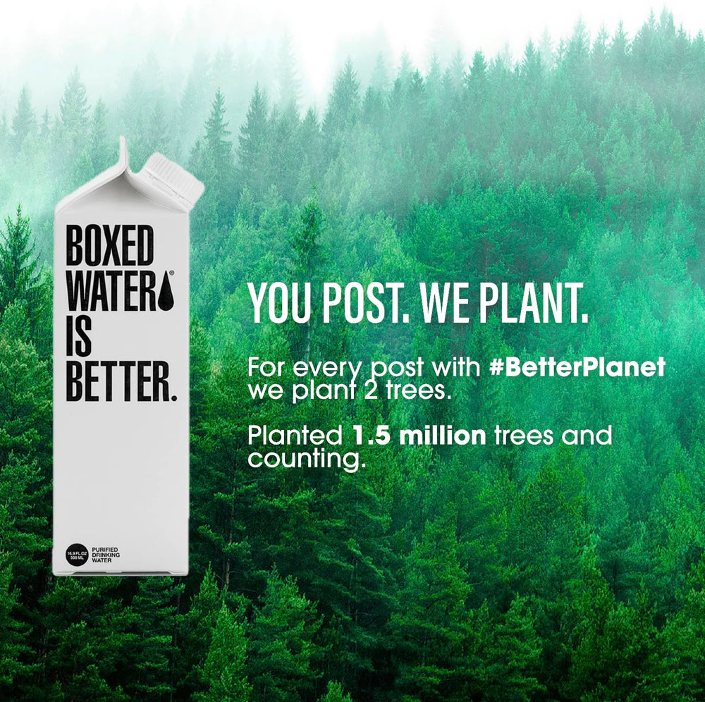 Boxed Water tree-planting initiative supports forest restoration.