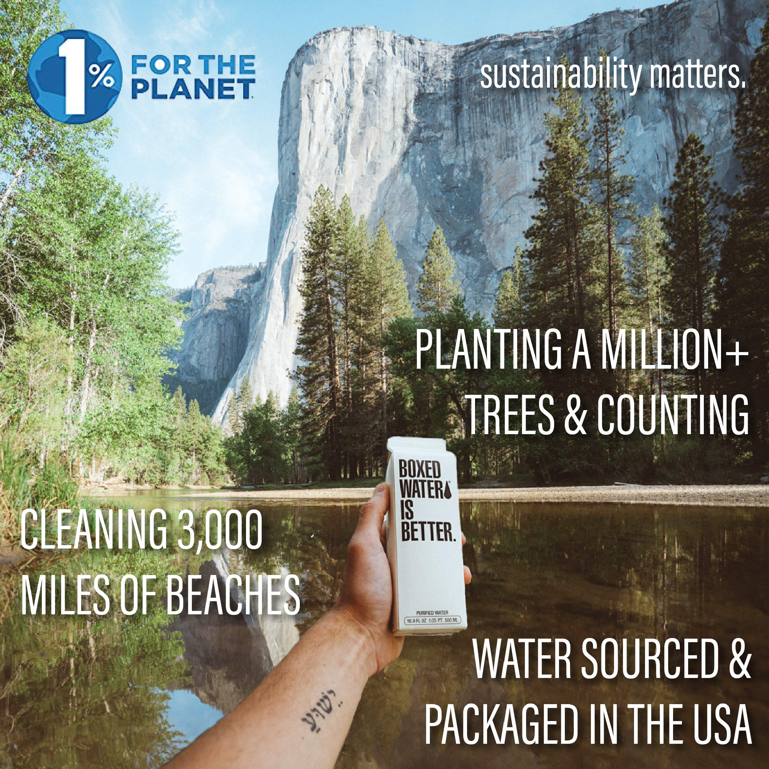 Boxed Water tree planting initiative, highlighting environmental impact.